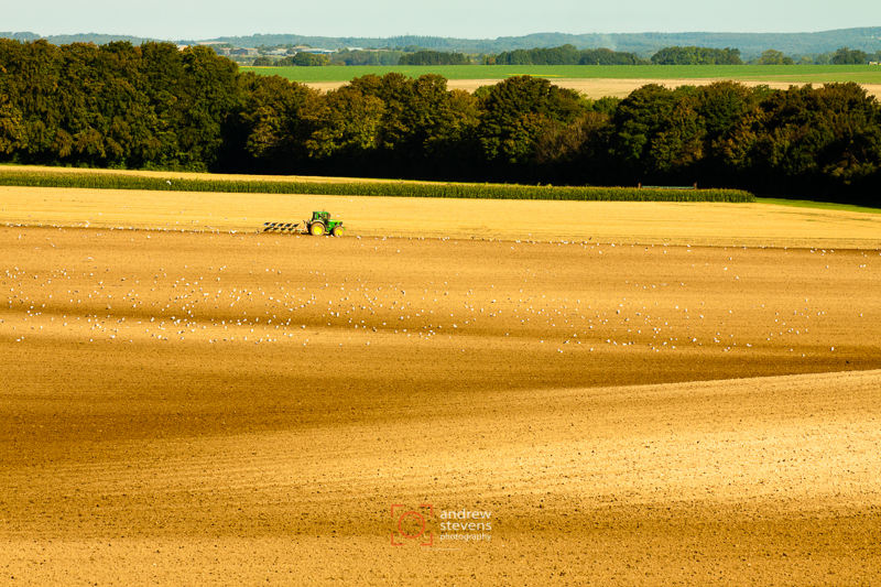 Working the land (asp100-2249)